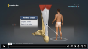 An educational video on a video platform, highlighting the Achilles tendon in the human body, with a semi-transparent overlay illustrating the muscle and tendon structure against the backdrop of a human figure standing with their back to