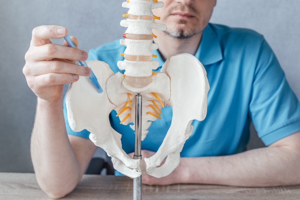 A man in a blue shirt holds a model of a human spine and pelvis, pointing to the source of pain with a tool to explain or study the anatomy.