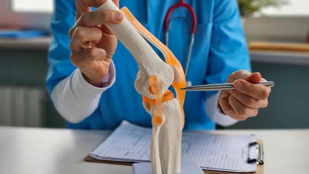 Doctor explaining knee joint model with ACL ligament to patient during recovery consultation